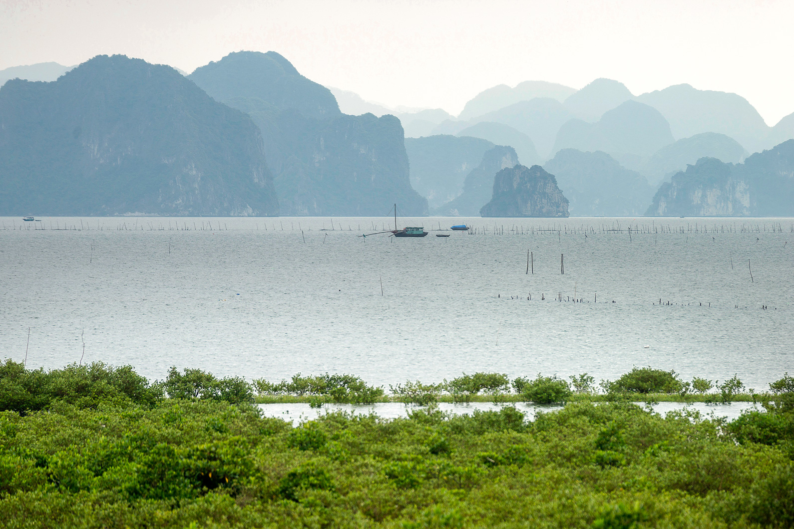 20141111 114559 Besuch einer Perlenzuchtstation an der Halong Bucht